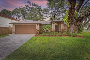 1701 Staysail Dr, VALRICO