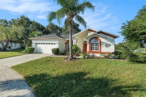 2009 Natrona Ct, BRANDON 2009 Natrona Ct, BRANDON