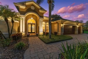 19708 Wellington Manor Blvd, LUTZ 19708 Wellington Manor Blvd, LUTZ