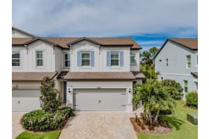 11282 Beach Walk Way Ne, ST PETERSBURG