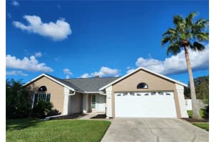 18303 Big Pond Way, TAMPA