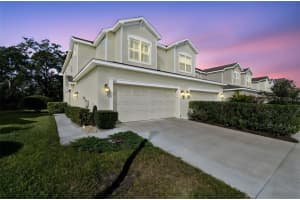 483 Harbor Springs Dr, PALM HARBOR