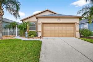 8415 Tarocco Ct, LAND O LAKES
