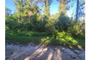 Naper St, NEW PORT RICHEY