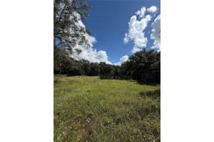 11158 Galaxy Ln, THONOTOSASSA