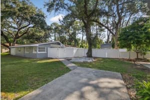 6009 Theresa St, TAMPA