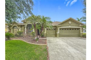 20626 Longleaf Pine Ave, TAMPA 20626 Longleaf Pine Ave, TAMPA