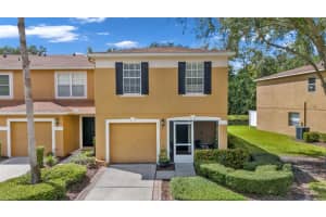 4349 Silver Falls Dr, LAND O LAKES