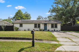 , TAMPA