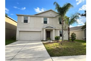 10013 Crested Fringe Dr, RIVERVIEW 10013 Crested Fringe Dr, RIVERVIEW