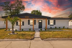 3904 W Hamilton Ave, TAMPA
