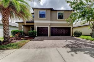 10224 Celtic Ash Dr, RUSKIN 10224 Celtic Ash Dr, RUSKIN