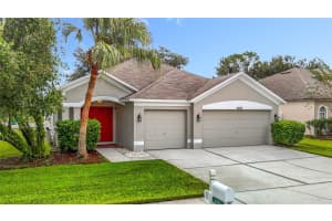 4908 Windingbrook Trl, WESLEY CHAPEL