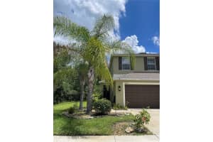 20233 Indian Rosewood Dr, TAMPA