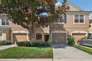 4825 Barnstead Dr, RIVERVIEW 4825 Barnstead Dr, RIVERVIEW