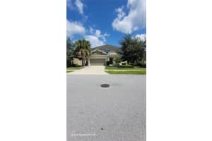 27043 Carolina Aster Dr, WESLEY CHAPEL