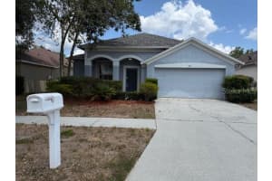 527 Royal Ridge St, VALRICO