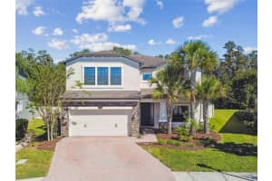 19556 Whispering Brook Dr, TAMPA