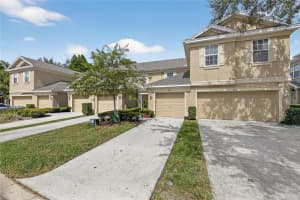 9810 Fan Palm Way, TAMPA