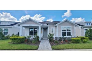28564 Sweet Persimmon Dr, WESLEY CHAPEL