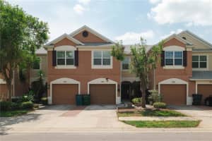 26532 Castleview Way, WESLEY CHAPEL
