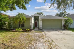 5646 Paddock Trail Dr, TAMPA