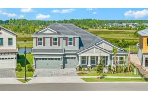 1953 Arching Br, ZEPHYRHILLS