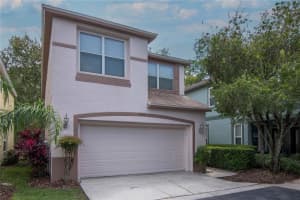 10502 Dotham Ct, TAMPA