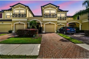 1936 Milkweed Trce, LUTZ 1936 Milkweed Trce, LUTZ