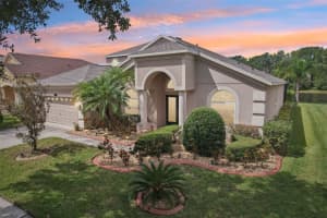 10814 Breaking Rocks Dr, TAMPA
