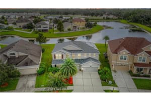 20015 Bears Track Ln, TAMPA