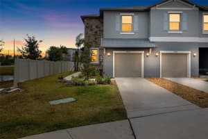 14450 Easy Goer St, RUSKIN 14450 Easy Goer St, RUSKIN