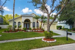 8132 Brinegar Cir, TAMPA