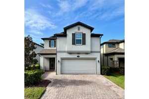 19592 Breynia Dr, LUTZ