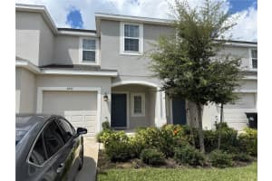 2297 Alee Ln, WESLEY CHAPEL