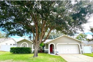 7306 Skyview Ave, NEW PORT RICHEY