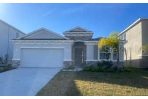 222 Mangrove Manor Dr, APOLLO BEACH