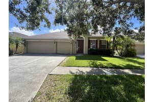 20050 Oakflower Ave, TAMPA 20050 Oakflower Ave, TAMPA