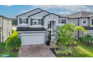 10831 Sundrift Dr, TAMPA