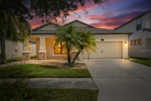 11648 Palmetto Pine St, RIVERVIEW