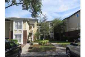 4115 Chatham Oak Ct #211, TAMPA