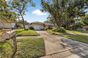 508 Sovereign Ct, TAMPA