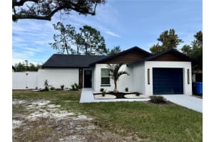 13603 Red Birch Pl, TAMPA