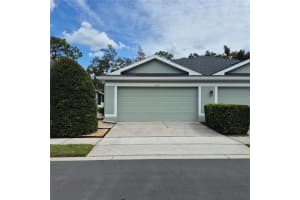 10717 Ashford Oaks Dr, TAMPA