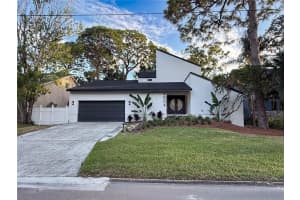 4804 W Dryad St, TAMPA