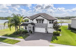 18304 Roseate Dr, LUTZ 18304 Roseate Dr, LUTZ