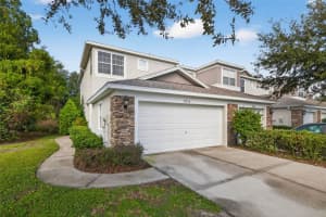 19204 Stone Hedge Dr, TAMPA