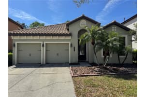 8237 Dunham Station Dr, TAMPA 8237 Dunham Station Dr, TAMPA