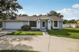 1304 Seffner Valrico Rd, SEFFNER