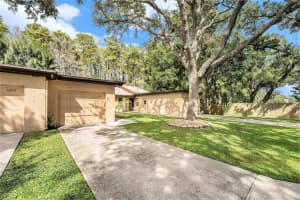 6203 Amaretto Ln, TAMPA 6203 Amaretto Ln, TAMPA